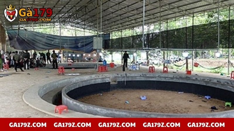 Địa điểm tổ chức đá gà tại miền Tây lớn và chuyên nghiệp