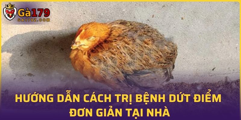 Hướng dẫn cách trị bệnh dứt điểm đơn giản