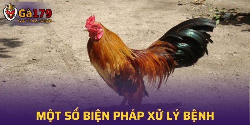 Một số biện pháp xử lý bệnh giun sán ở gà hiệu quả