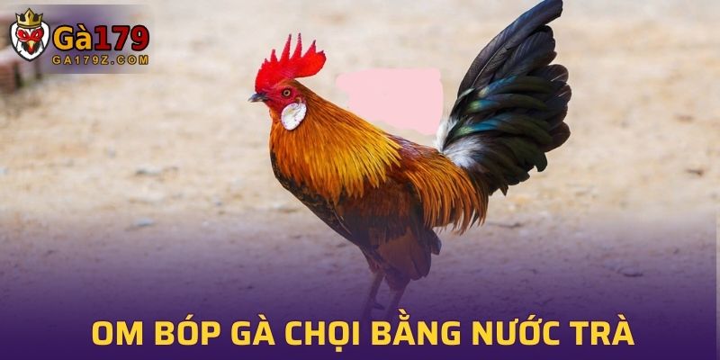 Bí quyết om bóp gà chọi bằng nước trà