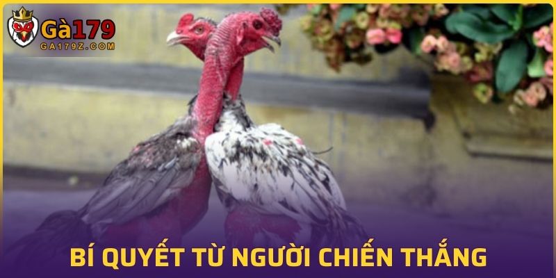 Bí quyết từ người chiến thắng