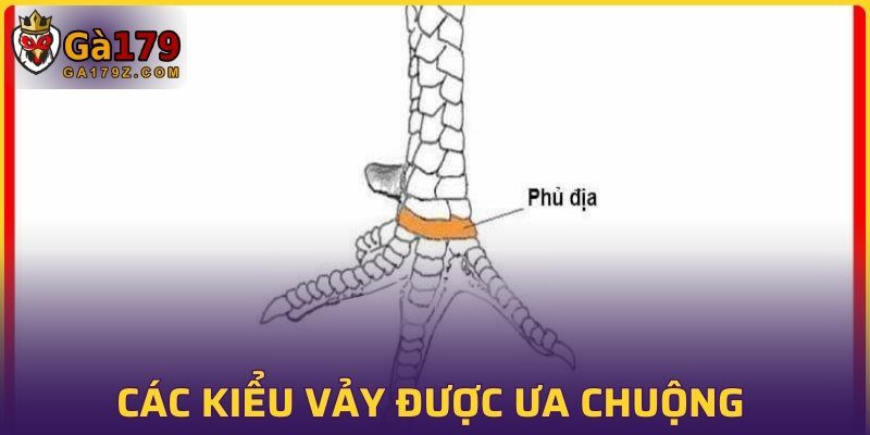Các kiểu vảy được ưa chuộng