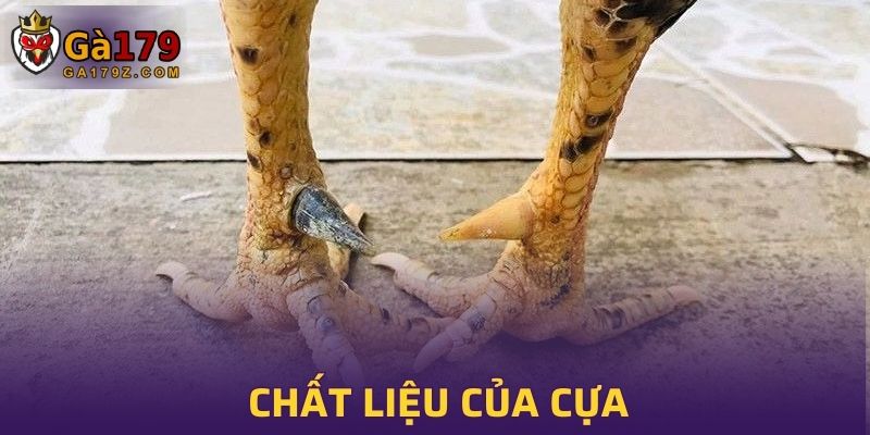Cách chọn cựa cho gà chọi với chất liệu của cựa