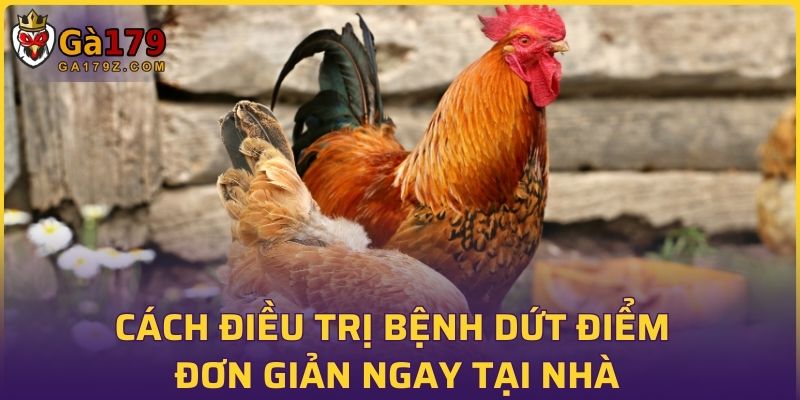 Cách điều trị bệnh dứt điểm đơn giản ngay tại nhà