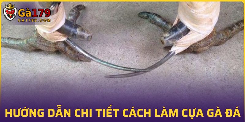 Cách làm cựa gà đá chuẩn xác tại GA179