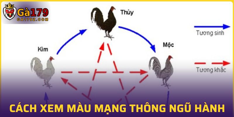 Cách xem màu mạng thông qua ngũ hành tương sinh tương khắc