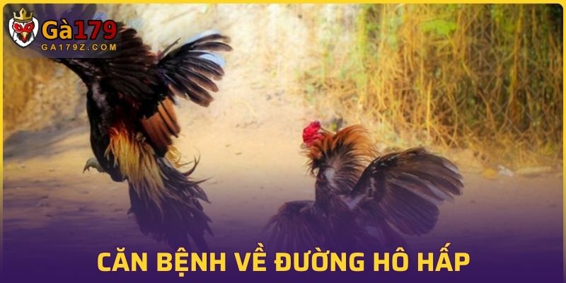Căn bệnh về đường hô hấp