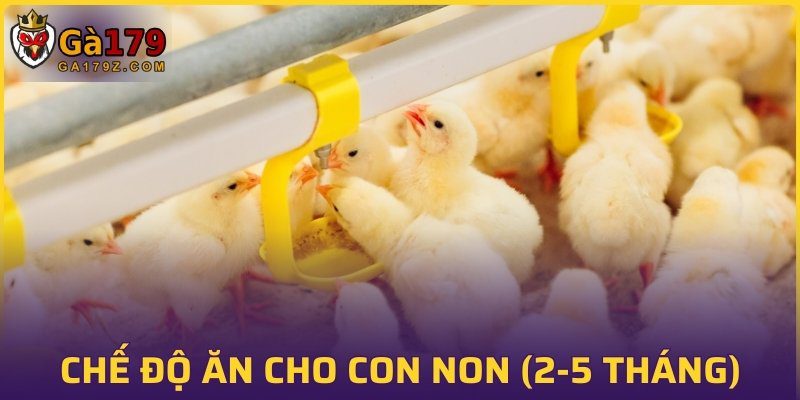 Chế độ ăn đặc biệt cho con non (2-5 tháng)
