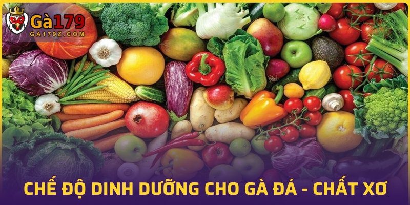 Chế độ dinh dưỡng cho gà đá với chất xơ