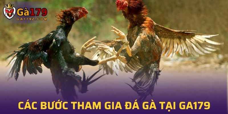 Chi tiết các bước tham gia cá cược đá gà tại GA179