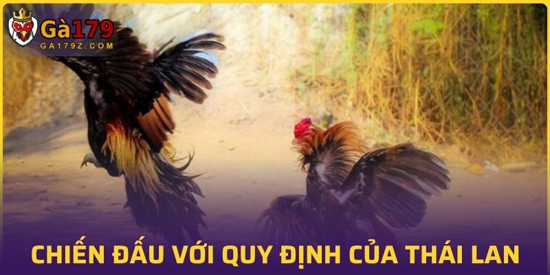 Chiến đấu dựa vào quy định của Thái Lan