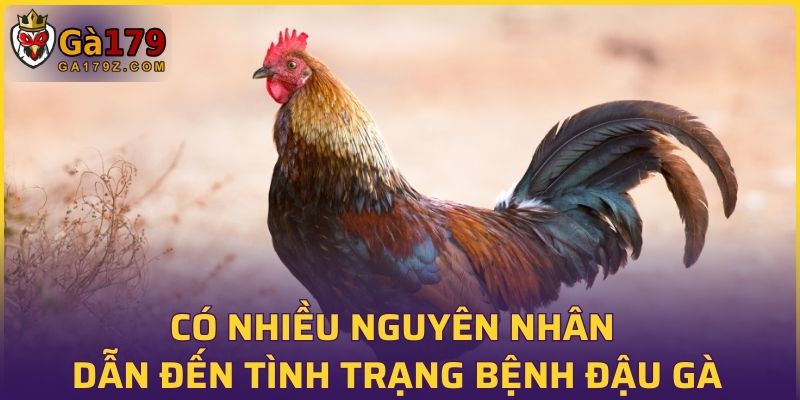 Có nhiều nguyên nhân dẫn đến tình trạng bệnh này