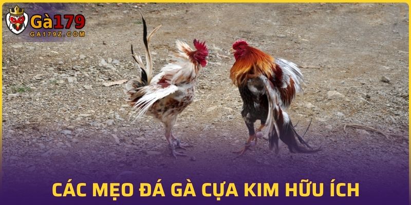 Các mẹo đá gà cựa kim hữu ích