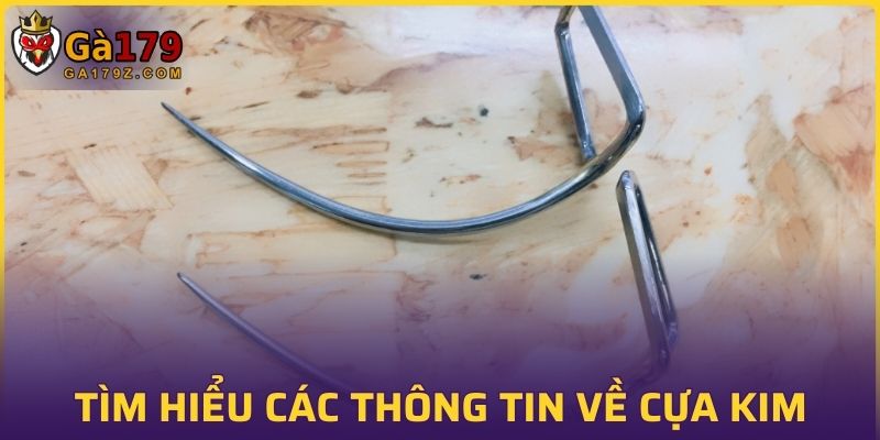 Tìm hiểu các thông tin về cựa kim
