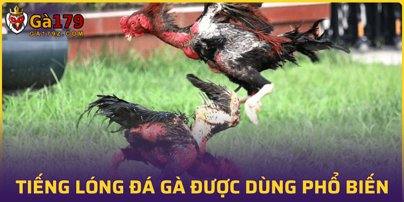 Cụm từ cơ bản chỉ chỉ gà chọi yếu hay mạnh hơn