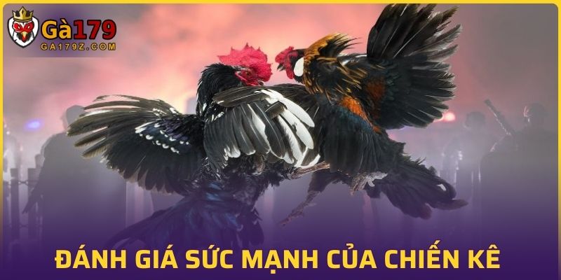 Đánh giá sức mạnh của chiến kê