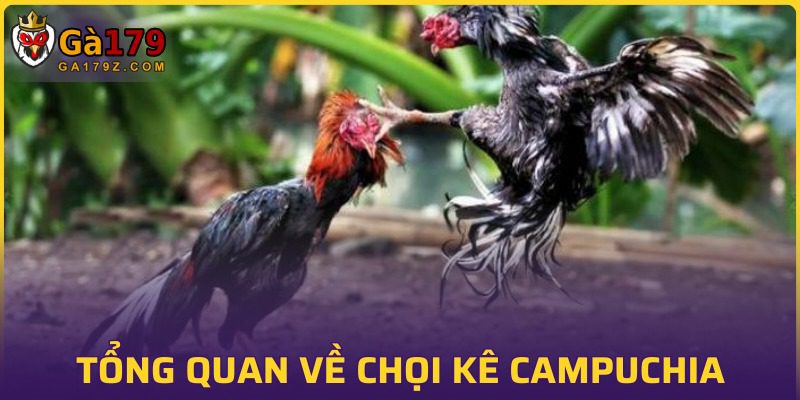 Đôi nét về tựa game đá gà xanh chín