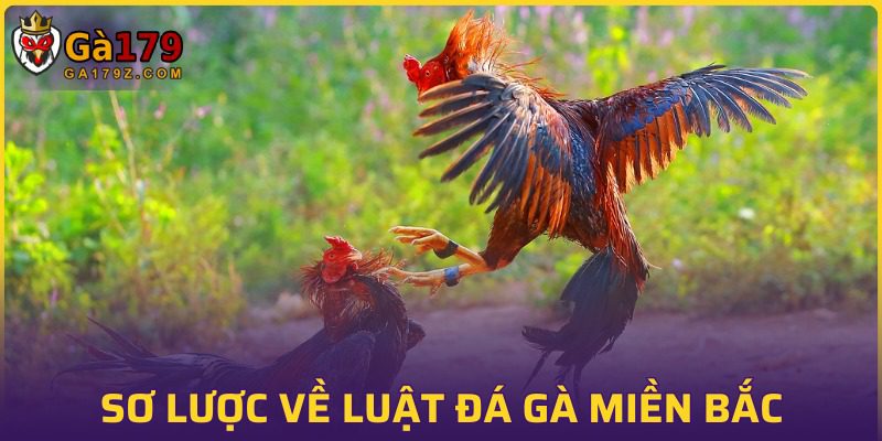 Giới thiệu cơ bản về luật đá gà miền Bắc
