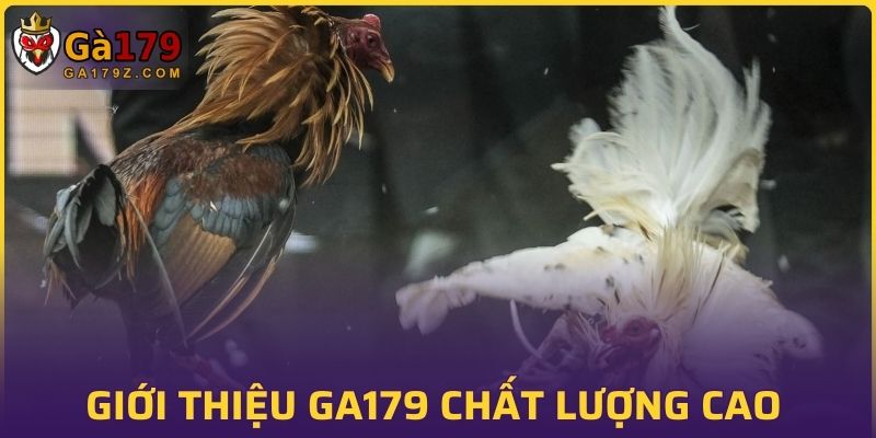 Giới thiệu GA179 sở hữu chất lượng cao