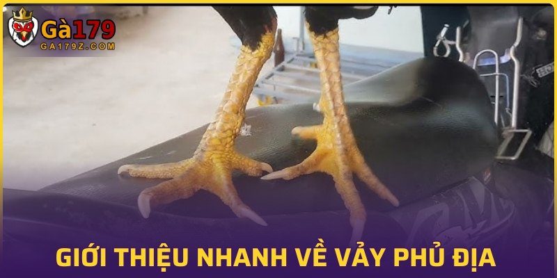 Giới thiệu nhanh về vảy phủ địa