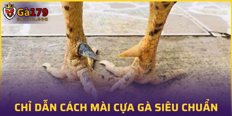 Hướng dẫn mài vũ khí tỉ mỉ mà bạn cần nắm vững