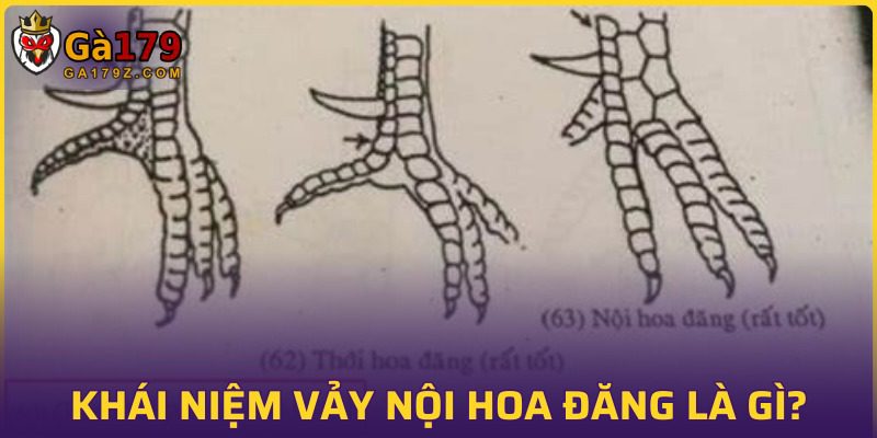 Khái niệm đơn giản của vảy hoa nội đăng độc đáo