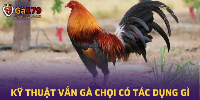 Kỹ thuật vần gà chọi có tác dụng gì?