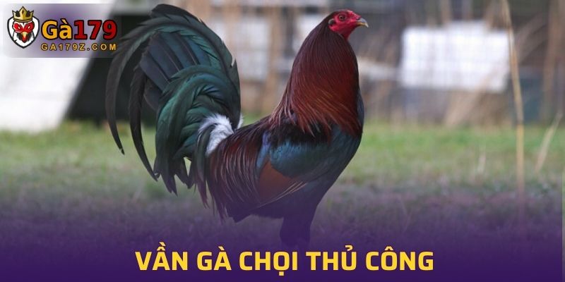 Sử dụng phương pháp vần gà chọi thủ công