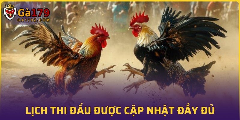 Lịch đấu được cập nhật đầy đủ