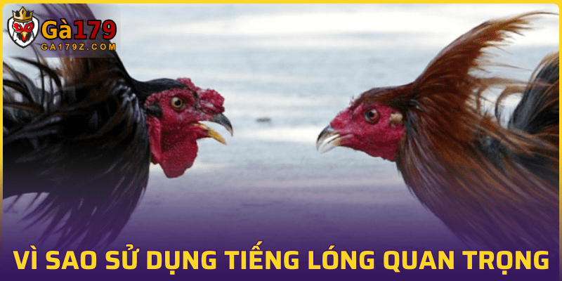 Lợi ích của việc cập nhật từ lòng phổ biến tại GA179