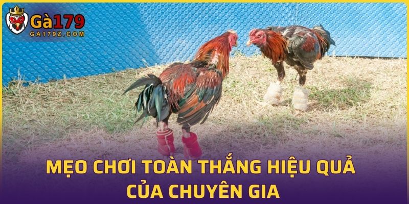 Mẹo chơi toàn thắng hiệu quả của chuyên gia