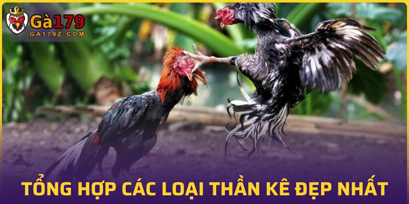 Một số loài thần kê nổi tiếng mà bạn nên biết