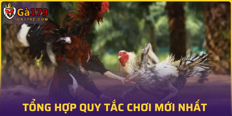 Một số luật lệ chơi chọi kê cập nhật mới nhất 2025