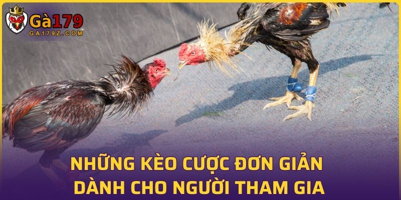 Những kèo cược đơn giản dành cho người tham gia