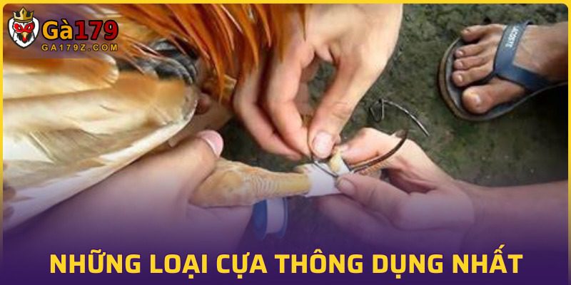 Những loại cựa được quan tâm bậc nhất