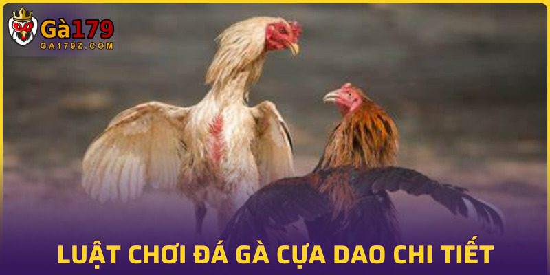 Quy tắc chơi đá gà cựa dao chi tiết nhất tại GA179