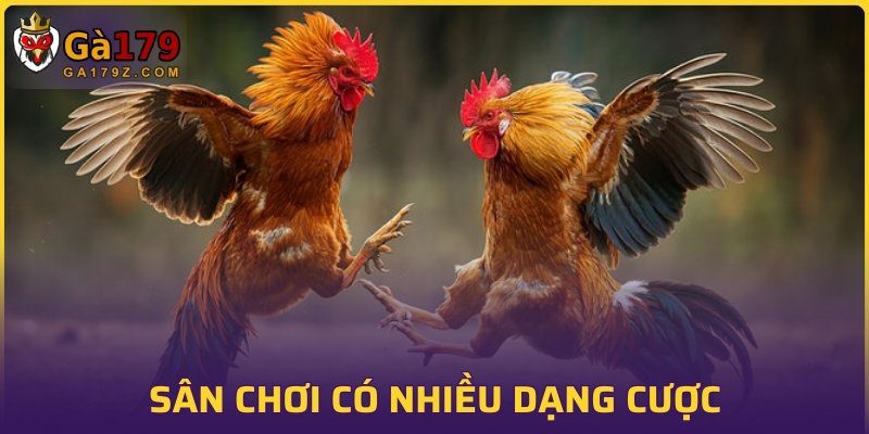 Sân chơi có nhiều dạng cược