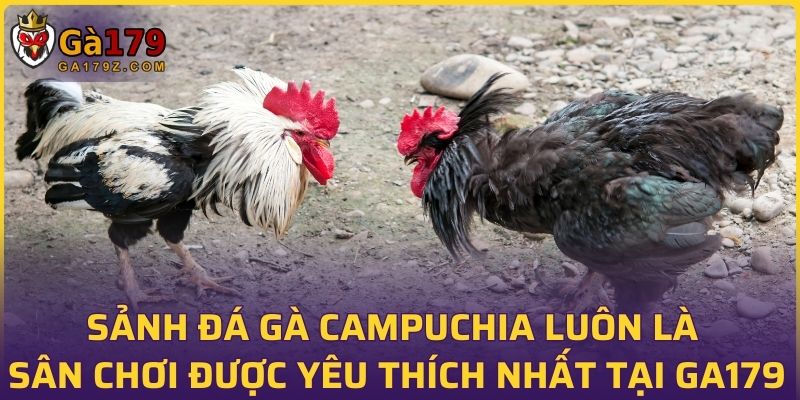 Sảnh đá gà Campuchia luôn là sân chơi được yêu thích nhất tại GA179