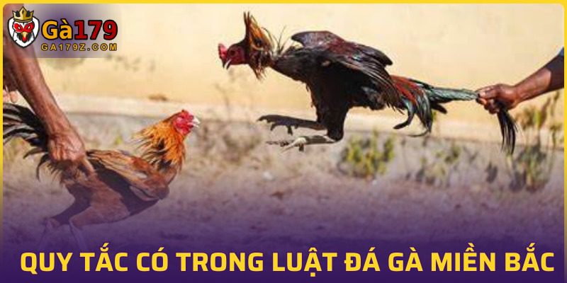 Tất tần tại về luật chọi kê miền Bắc chi tiết nhất