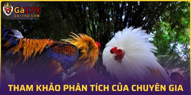 Tham khảo các phân tích của chuyên gia có tiếng