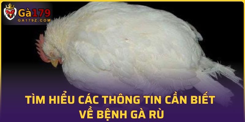 Tìm hiểu các thông tin cần biết về bệnh gà rù