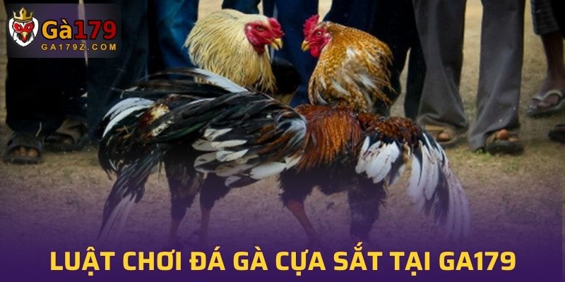 Tìm hiểu luật chơi đá gà cựa sắt tại GA179
