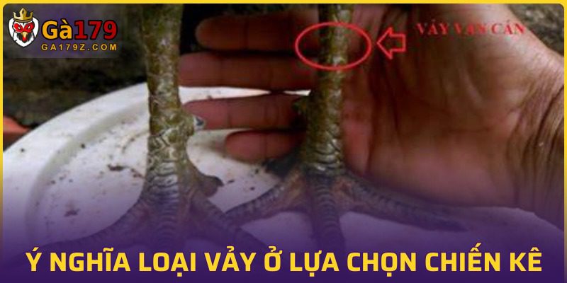 Tìm hiểu về ý nghĩa quan trọng trong các trận đấu