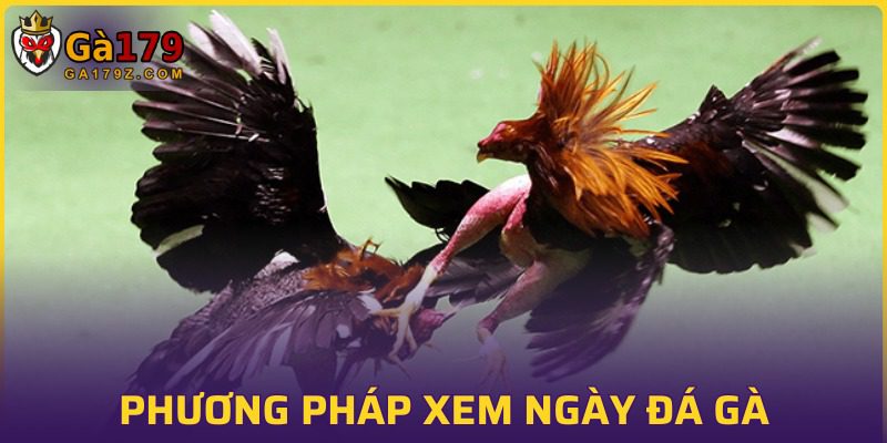 Tổng hợp những cách xem ngày đá gà chuẩn xác bậc nhất