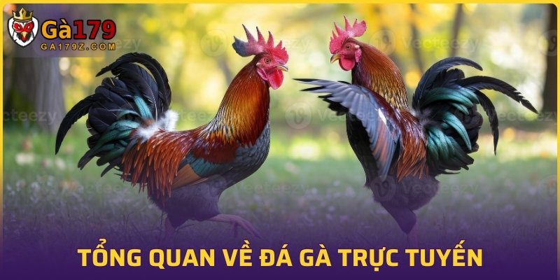 Tổng quan về đá gà trực tuyến