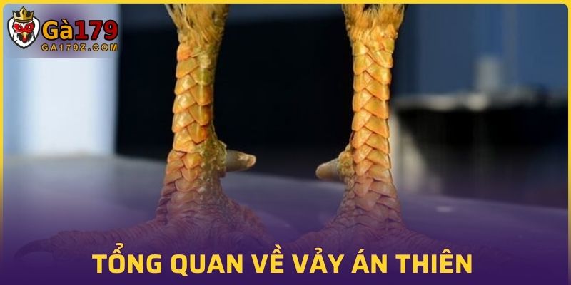 Tổng quan về vảy án thiên