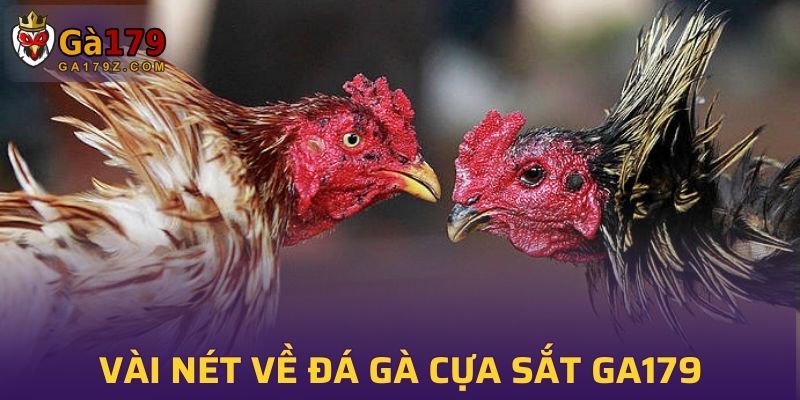 Vài nét sơ lược về đá gà cựa sắt GA179