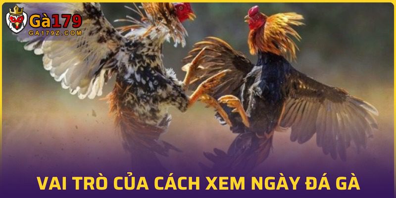 Ý nghĩa của việc xem thời điểm chọi kê
